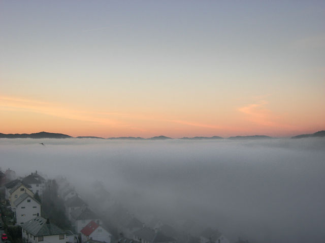 DSCN1931