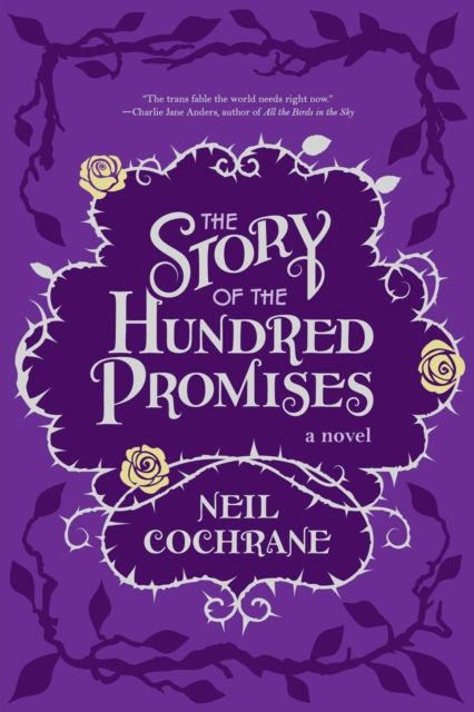 The Story of the Hundred Promises by Neil Cochrane
