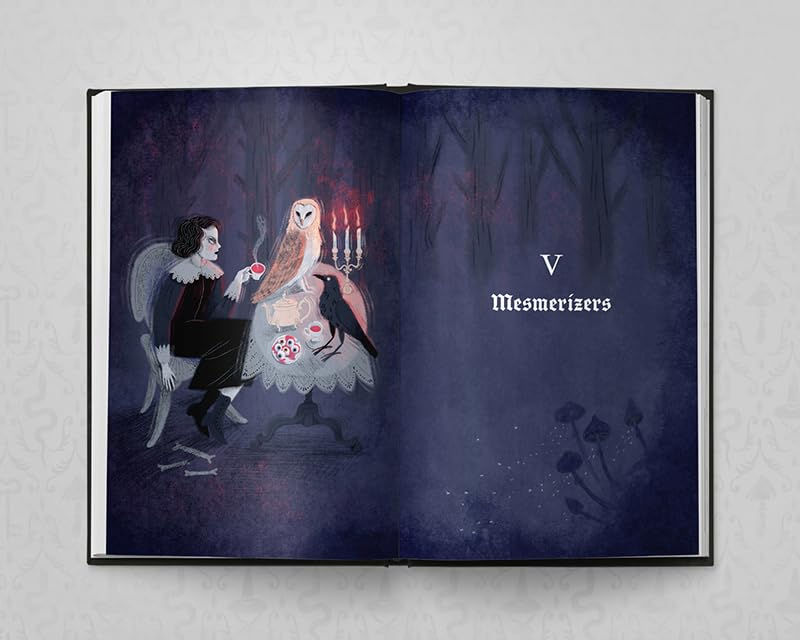 Thumbnail: The Book of Forgotten Witches : Dark & Twisted Folklore & Stories