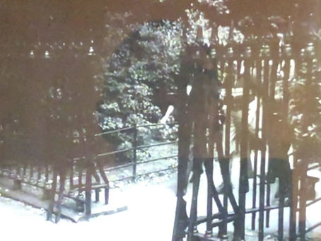 Dublin Skinheads Interviewed, 1973