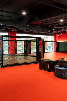 Copy of Livspace_UFC_046.jpg