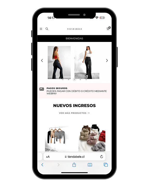 sitio web plataforma básica