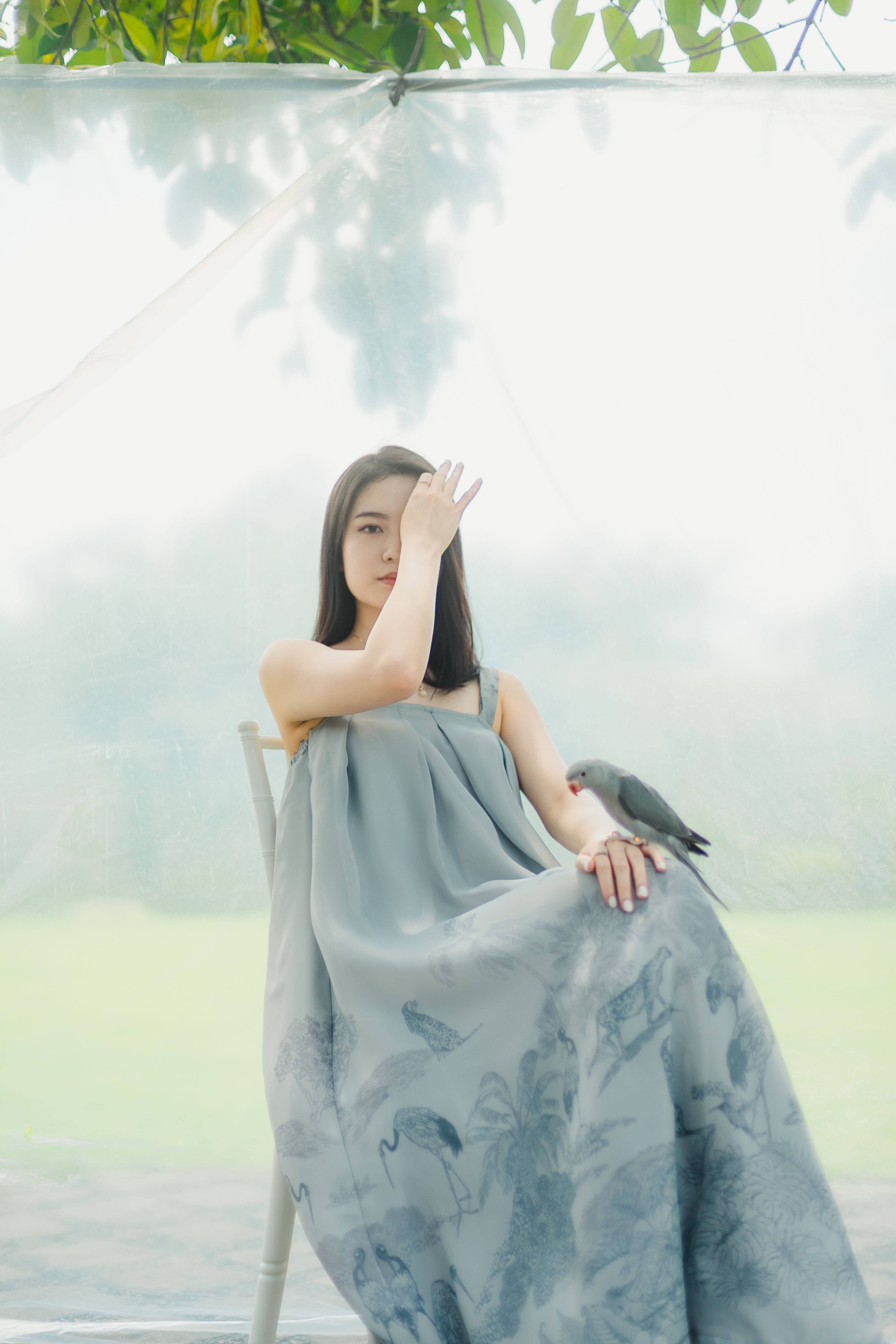 PALILA DRESS ORGANZA in Gray