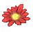 雛菊(紅).png