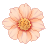 波斯菊(橙).png