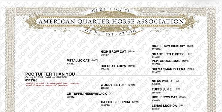 Tuff papers .jpg