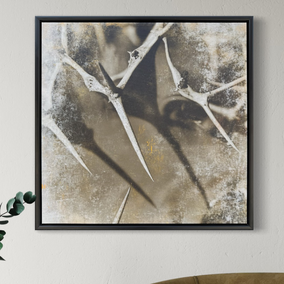 Thumbnail: Spinose Giclee Canvas