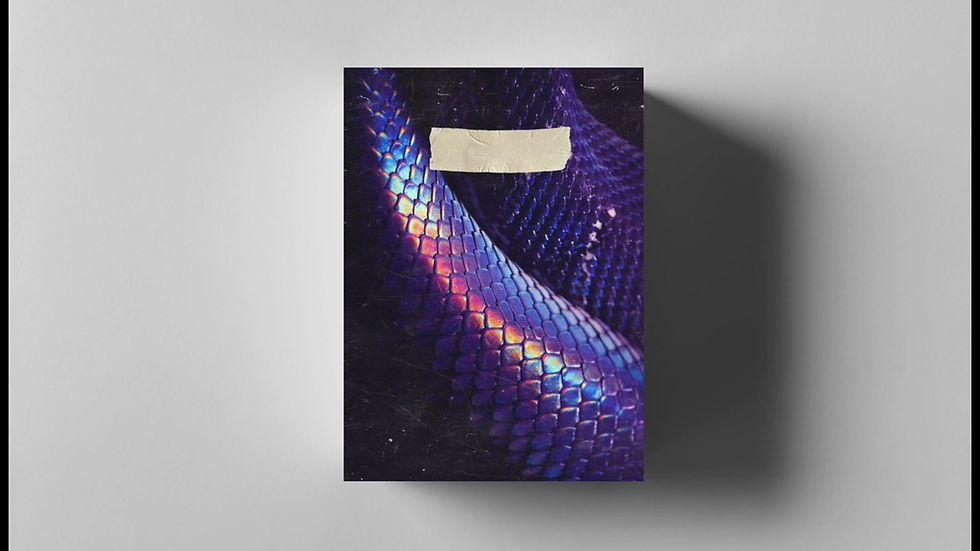 Thumbnail: trap guitars (トラップギター)