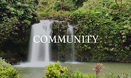 course images - 20.png