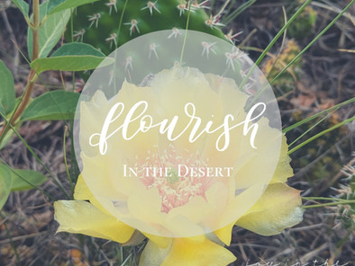 In the Desert