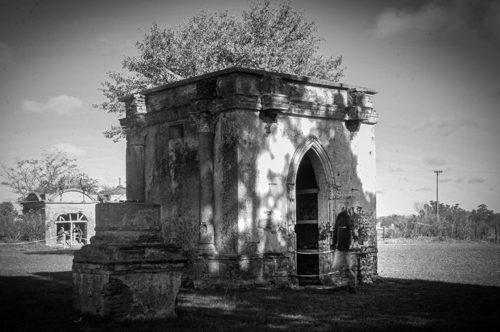 _MG_2587-3-2