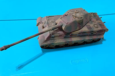Model_PA_ (10)Tiger2.JPG