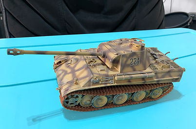 Model_PA_ (102)panther.JPG