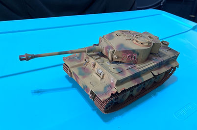 Model_PA_ (103)tiger.JPG