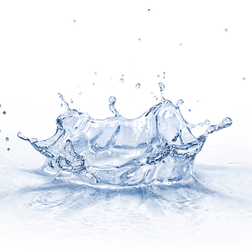 c (1280 x 1280 px)-4.png