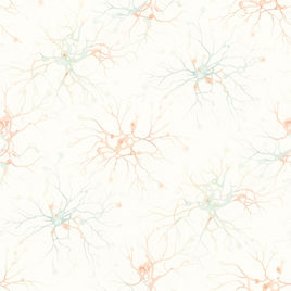 Gemini_Generated_Image_oj94peoj94peoj94_edited.jpg