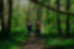 Group of people walking on a forest path during a nature therapy walk with Julie Willis Hypnotherapist
