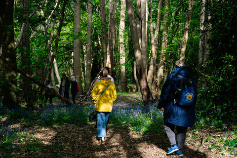 Nature therapy group walking through bluebell woodland during a guided session