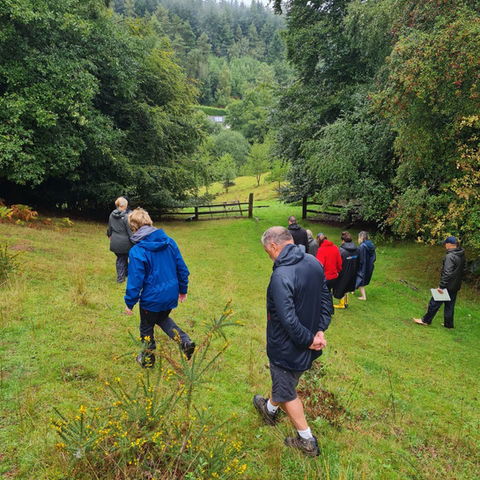 Forest bathing group taking part in a nature-based wellbeing activity