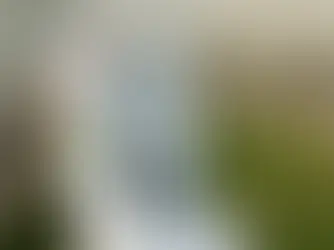 THE REVIVAL OF FILM PHOTOGRAPHY