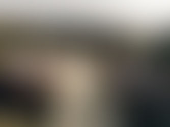 From Intimate Vows to Grand Affairs