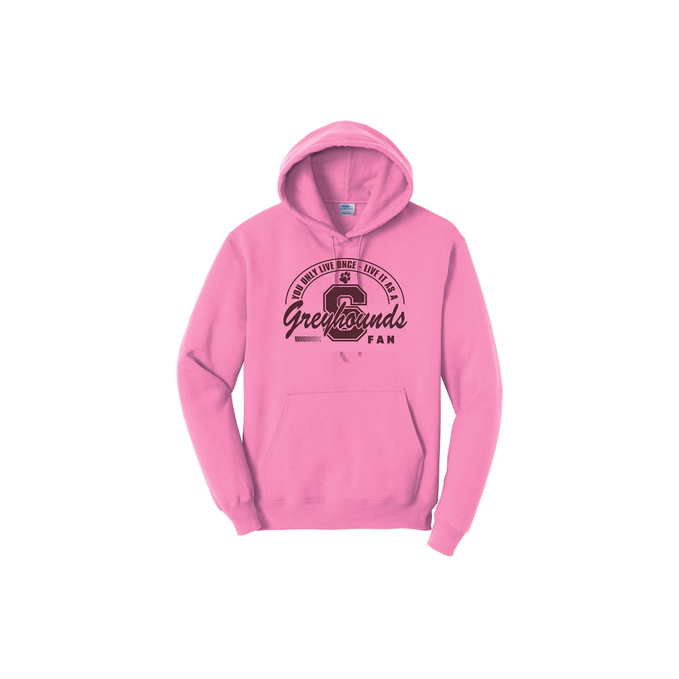 Thumbnail: SASHS Cheer Fan Hoodie