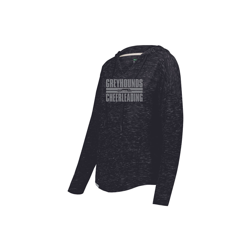 Thumbnail: SASHS Cheer Dog Holloway Hoodie