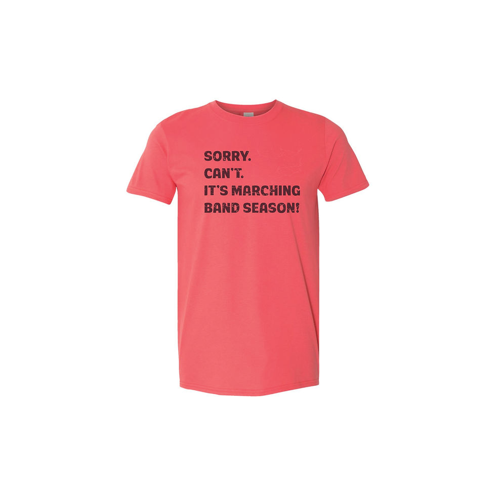 Thumbnail: SASHS Band Sorry T-Shirt