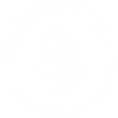 Logo indoorkarting Burney's Mechelen