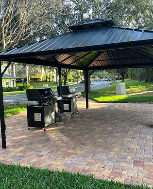 Gas grills and grilling area