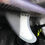 Thumbnail: FCS II REACTOR PC QUAD REAR FINS