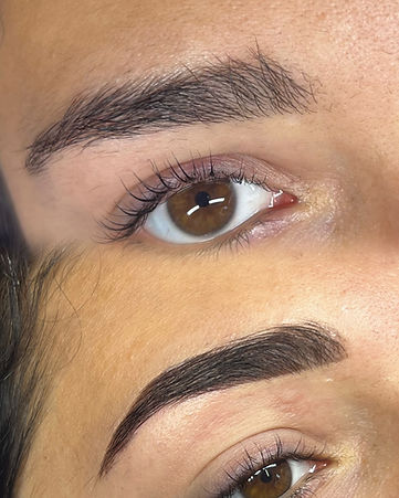 Henna Brows Training