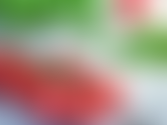 August - Tomato's Spotlight Moment