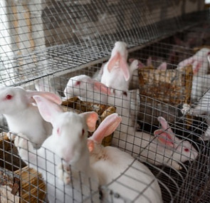 Screenshot 2024-04-24 at 7.04_edited.jpg