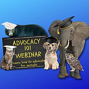 Copy of Copy of ADVOCACY 101-2.jpg