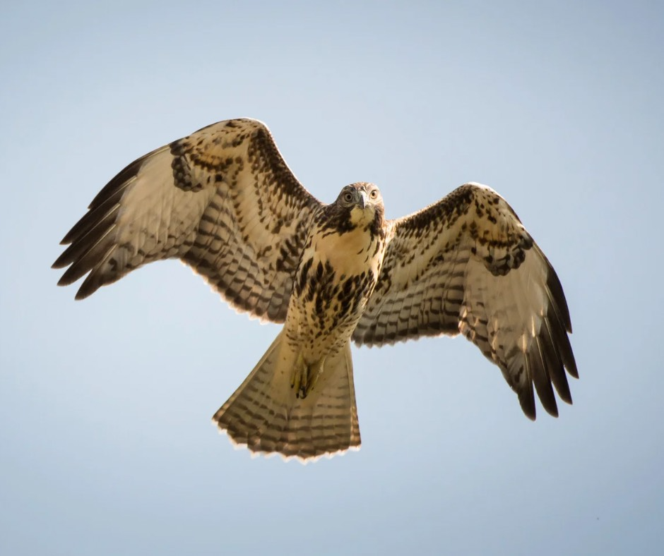 Think Outside the Bait Box 2.0