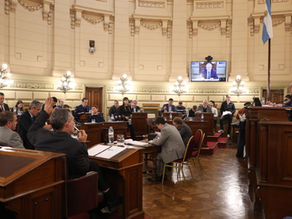 El Senado dio media sanción a proyectos sobre salud, educación e inclusión