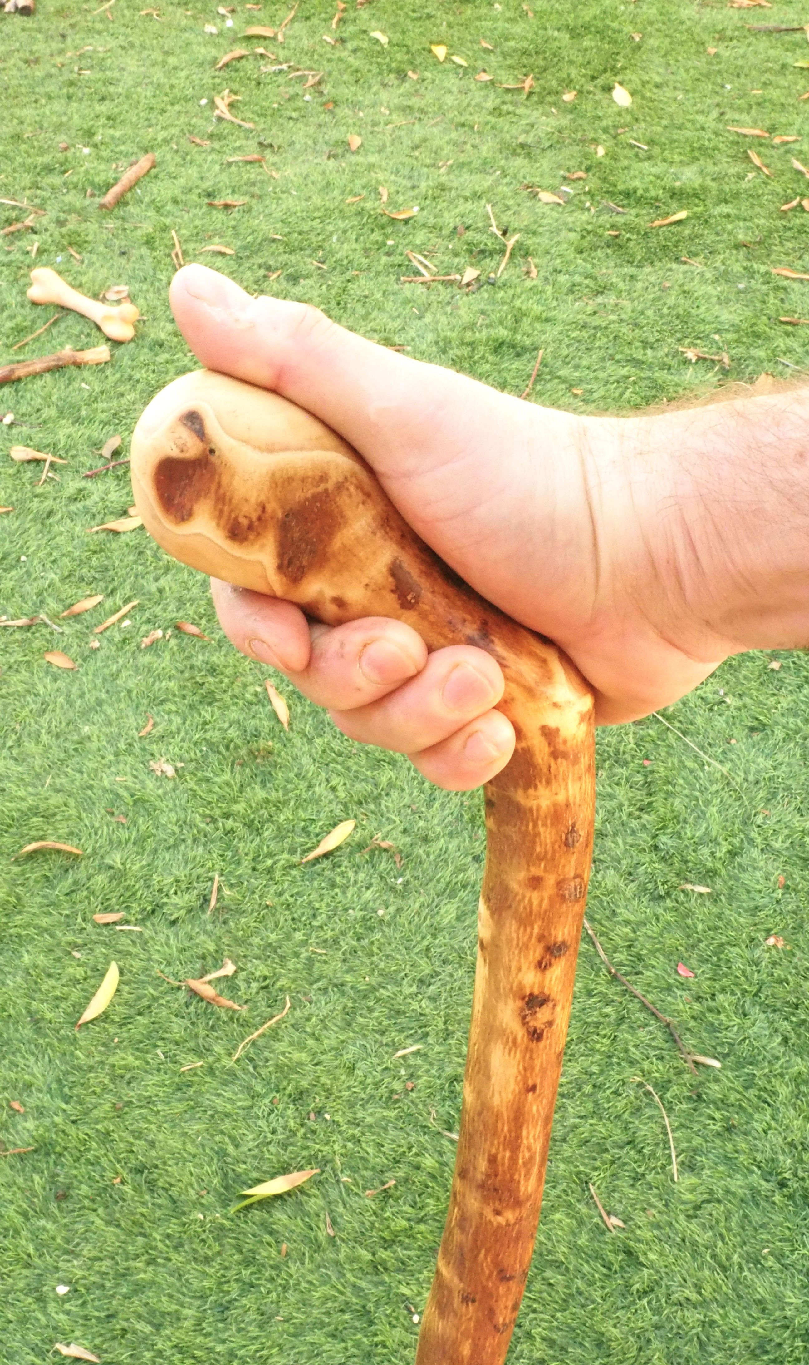 40" crocked olive wood stick