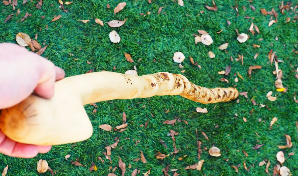 Thumbnail: bird's beak head olive wood staff