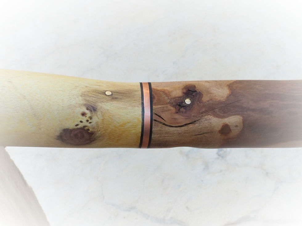 Thumbnail: Acacia handle olive wood shaft cane
