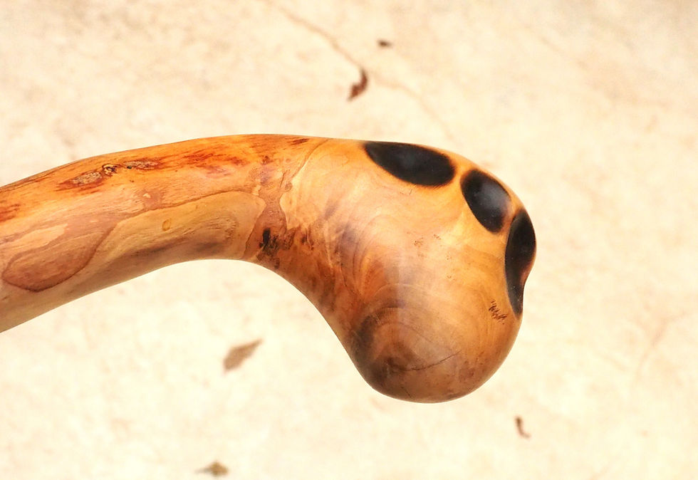 Thumbnail: heavy weight olive wood staff