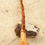 Thumbnail: olive wood 2 parts light jiking stick