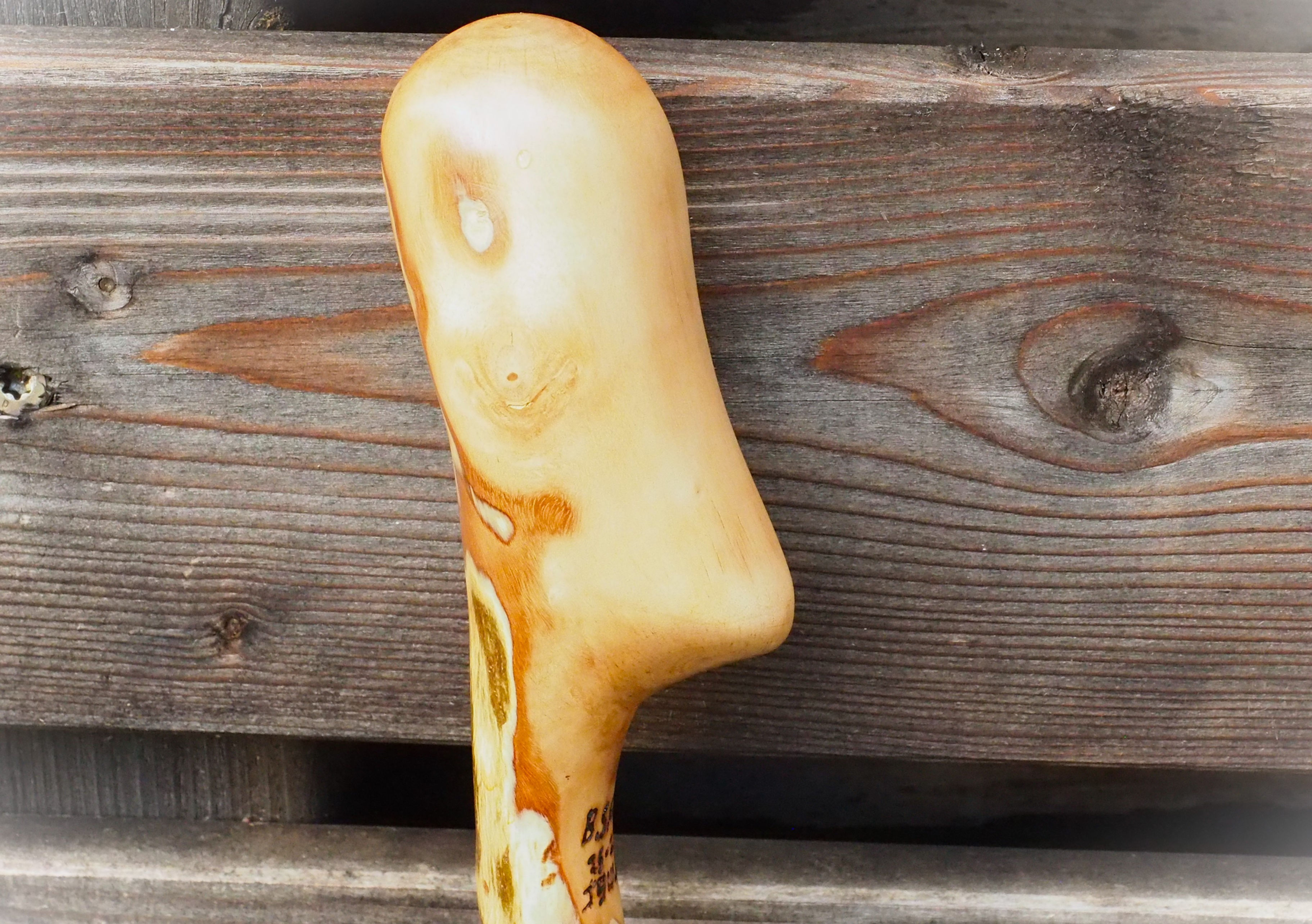 olive wood "alien" head walking stick
