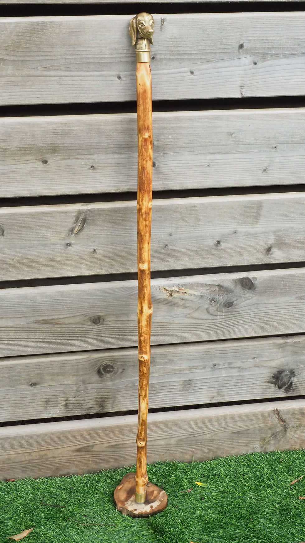 Thumbnail: Cocker Spaniel head walking cane