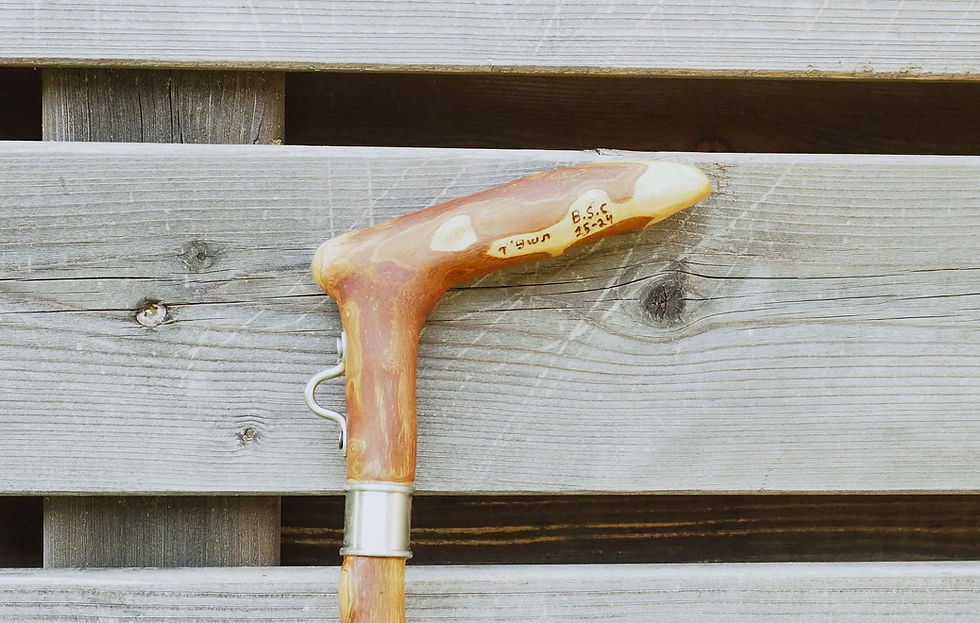 Thumbnail: 35" olive wood walking cane