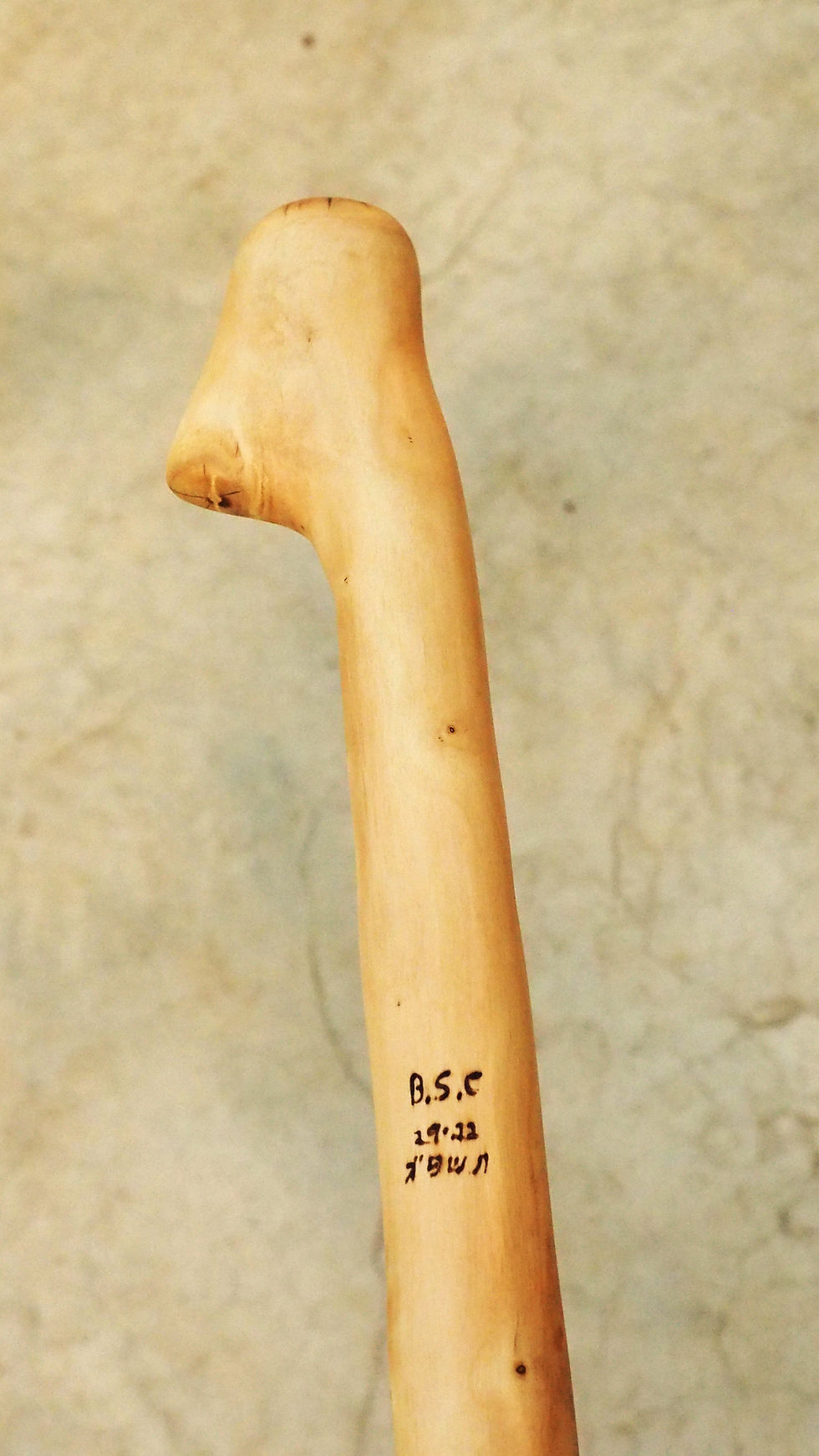Thumbnail: bird's beak head olive wood staff