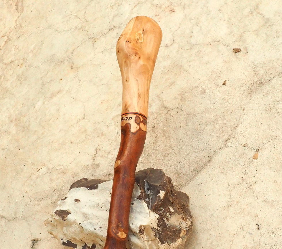 Thumbnail: olive wood 2 parts light jiking stick