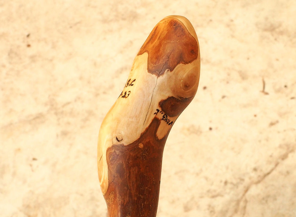 Thumbnail: olive wood medium duty walking/hiking stick