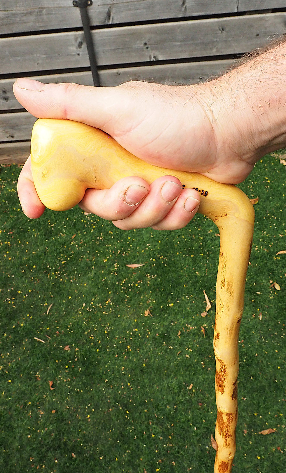 Thumbnail: 44.5" sour orange walking stick
