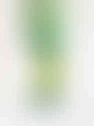 pin's broche trèfle à 4 feuilles en émail coloré et doré chemin des marettes